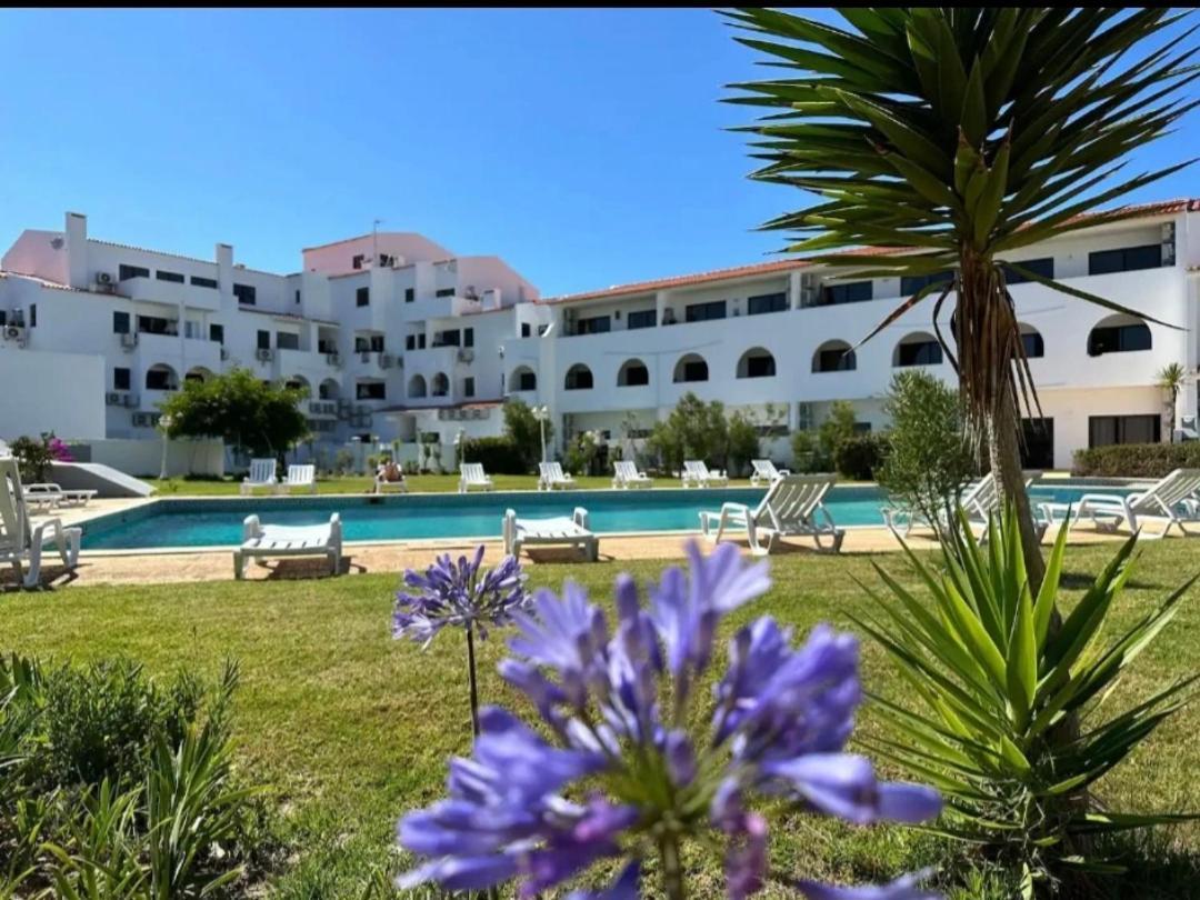 Casa Papillon Διαμέρισμα Σάγκρες Εξωτερικό φωτογραφία